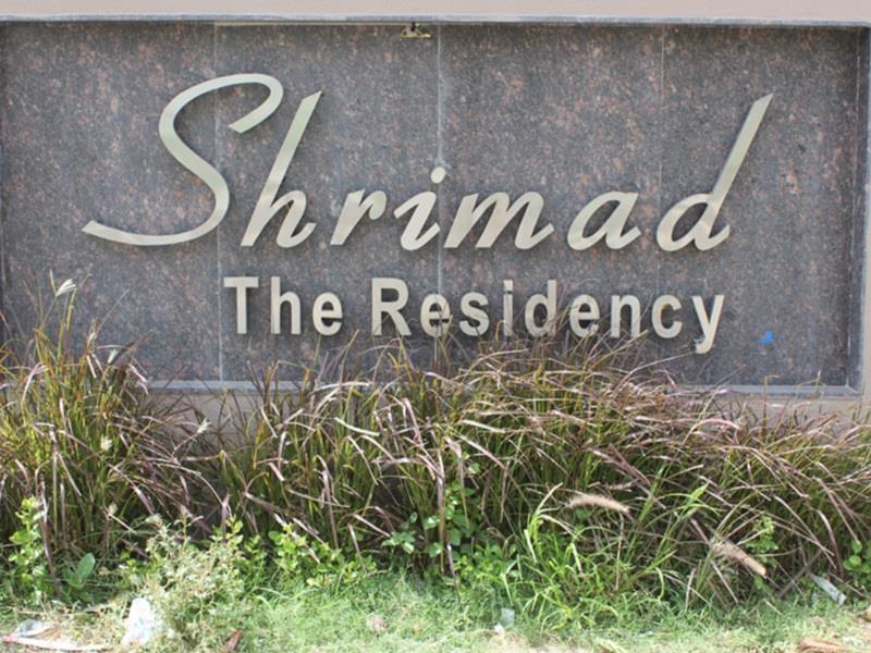 Treebo Trend Shrimad Residency Hotell Ahmedabad Exteriör bild